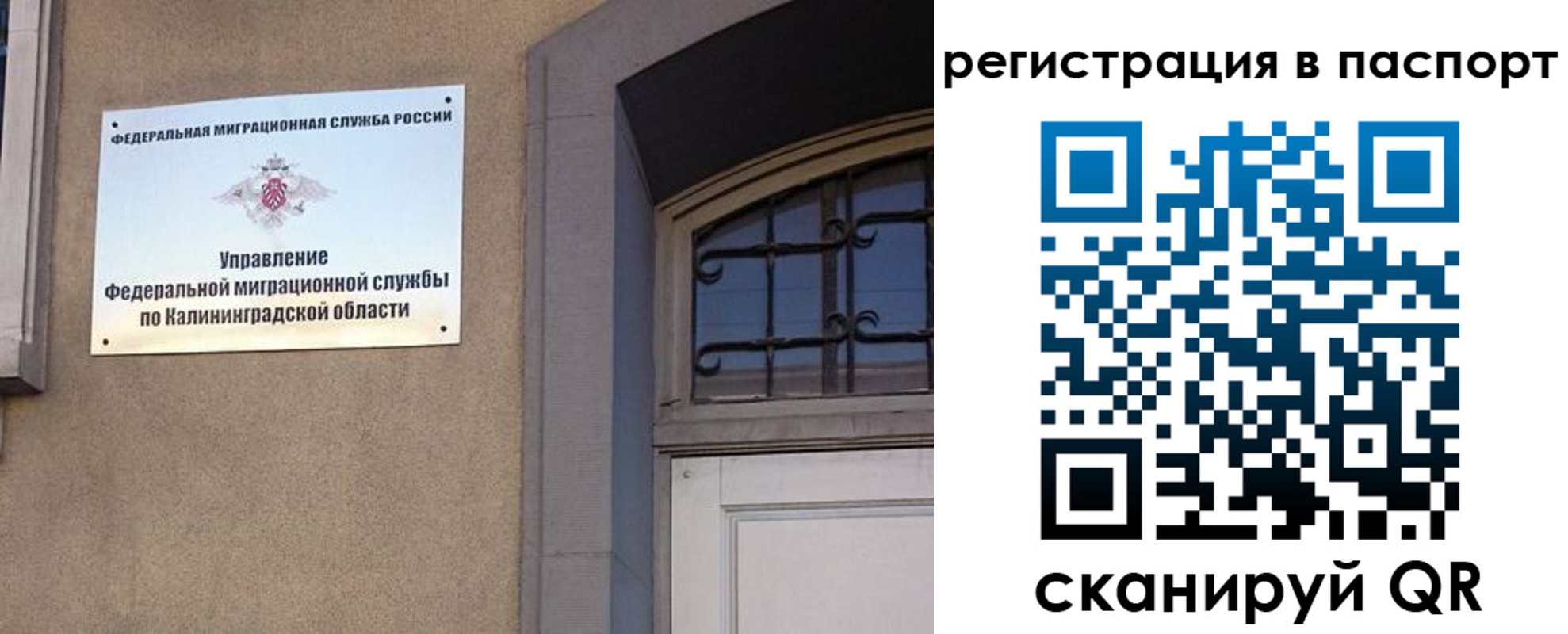 прописка законно в Рославле